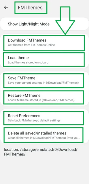 FM WhatsApp Custom Themes and Emoji