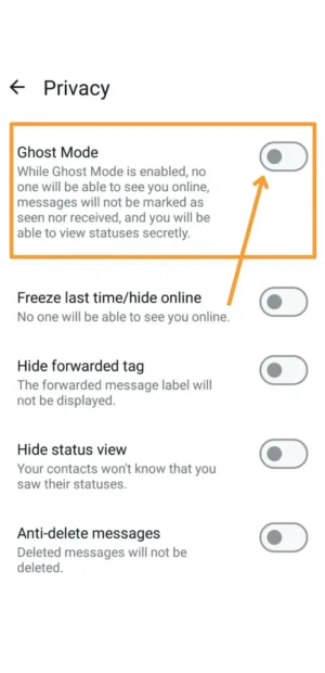 FM WhatsApp Ghost Mode