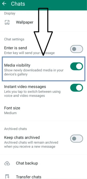 FM WhatsApp Hide Media from Gallery