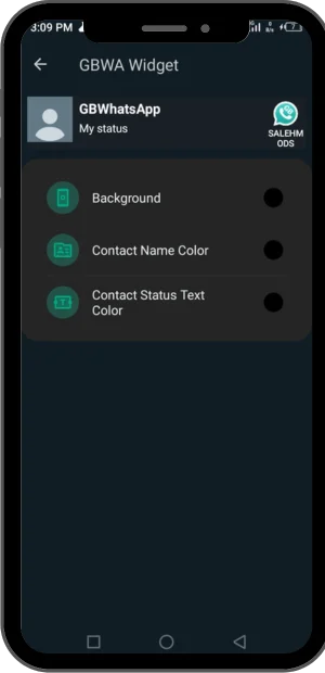 GB WhatsApp Theme Features