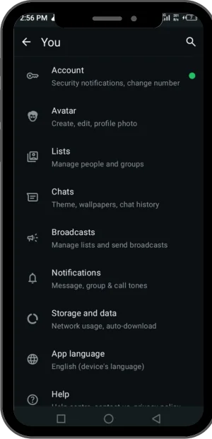 GB WhatsApp Language and Storage
