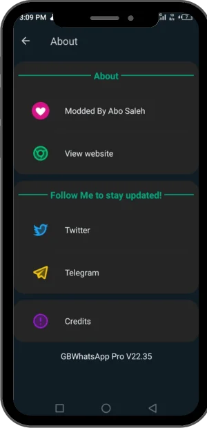 GB WhatsApp Developer Detail